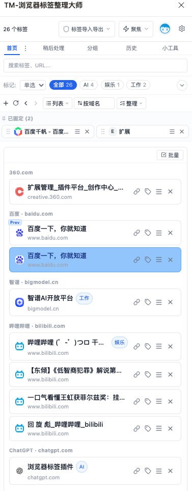 域名归并整理同站标签归组与排序