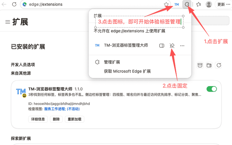 浏览器标签大师安装第3步：固定扩展，方便快速打开 - Windows Edge 截图